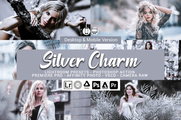 Download 20 Silver Charm Presets - Premium Resources